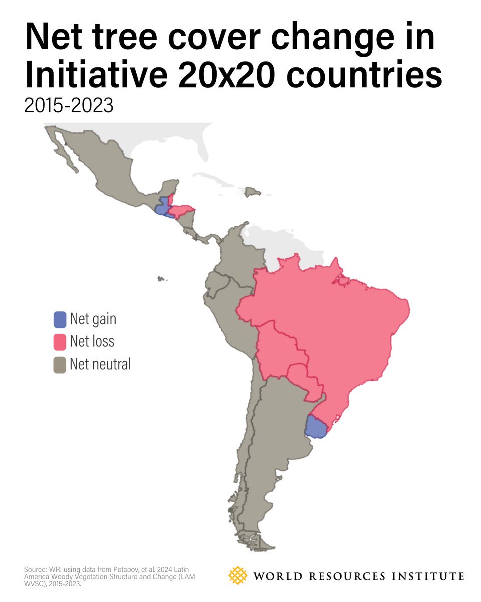 World Resources Institute tweet media