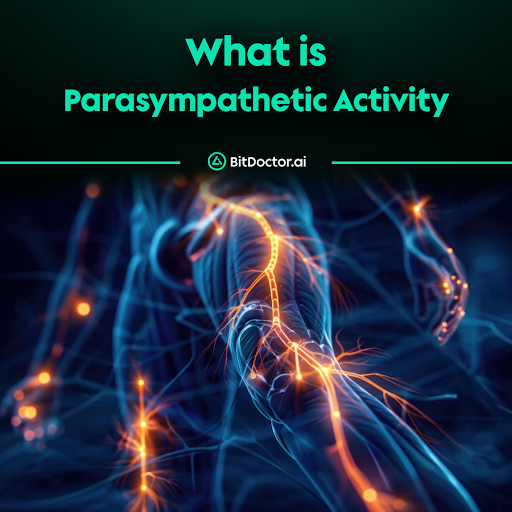 BitDoctorAI's tweet photo. The parasympathetic nervous system (PNS) plays a crucial role in maintaining balance within the autonomic nervous system. Often referred to as the “rest and digest” system, it slows the heart rate, promotes digestion, and supports recovery and regeneration after stress.
Higher parasympathetic activity is associated with better cardiovascular health, emotional stability, and improved stress resilience. It can be measured through heart rate variability (HRV), particularly time-domain metrics like RMSSD and SDNN.
In healthy adults:
🔹SDNN > 100ms generally reflects strong autonomic balance and good parasympathetic tone
🔹50–100ms indicates moderate adaptability
🔹< 50ms may suggest reduced parasympathetic modulation or elevated sympathetic dominance
To enhance parasympathetic activity:
🧘 Practice mindfulness or meditation
🌿 Maintain regular sleep patterns
🏃 Engage in light aerobic exercise
🌬 Incorporate deep breathing or HRV biofeedback
With BitDoctor, our AI analyzes real-time PPG signals from your face to estimate HRV and autonomic function, helping you monitor your parasympathetic activity non-invasively, anytime, anywhere.
Stay in balance—your nervous system depends on it.
#BitDoctor #AI #DePin #healthtech #freediagnosis