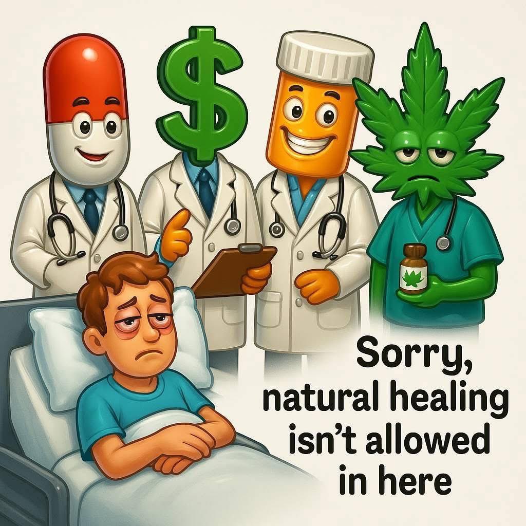 David Dinenberg tweet media