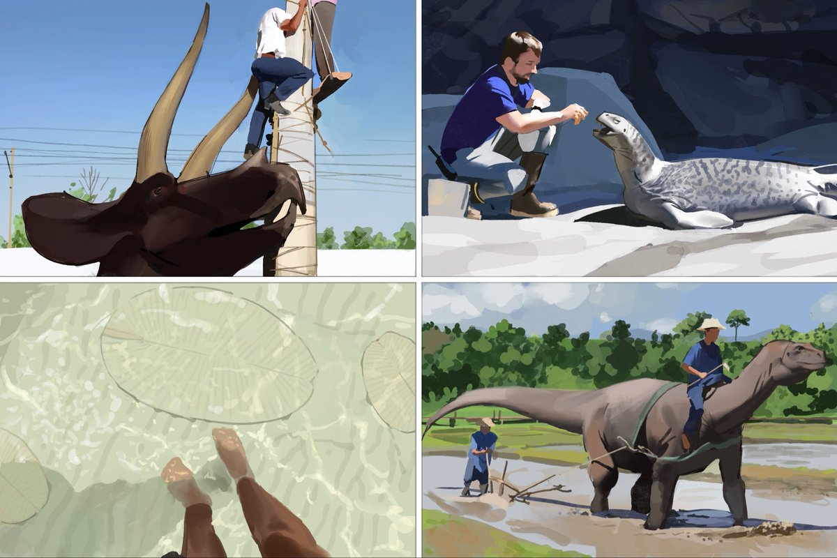 Kamitoge's tweet image. Results from this week’s #paleostream
Triceratops, Halveticosaurus, Dickinsonia and Melanorosaurus