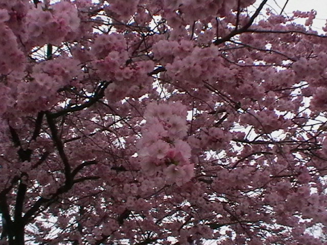 tallinn - 19.4.25♡