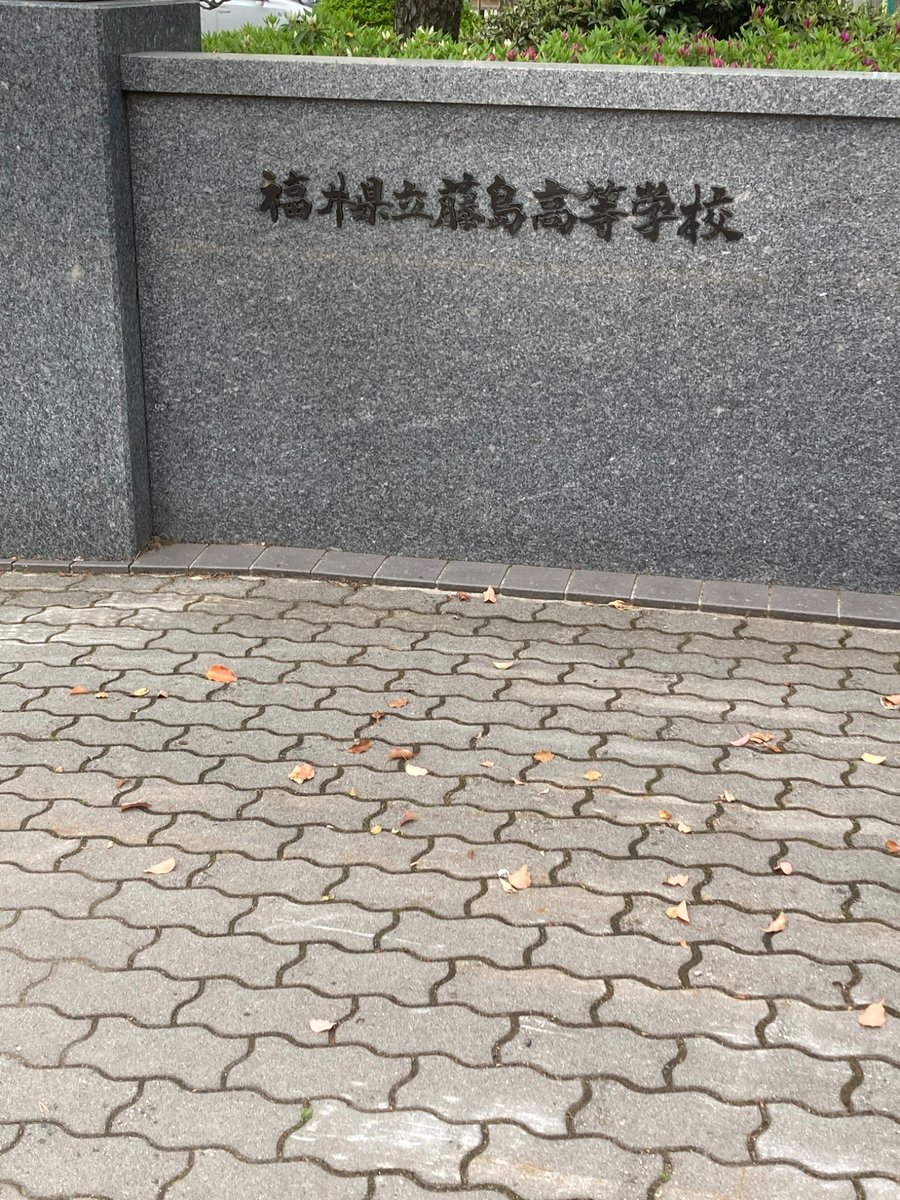 聞き馴染みのある学校に寄ってきた