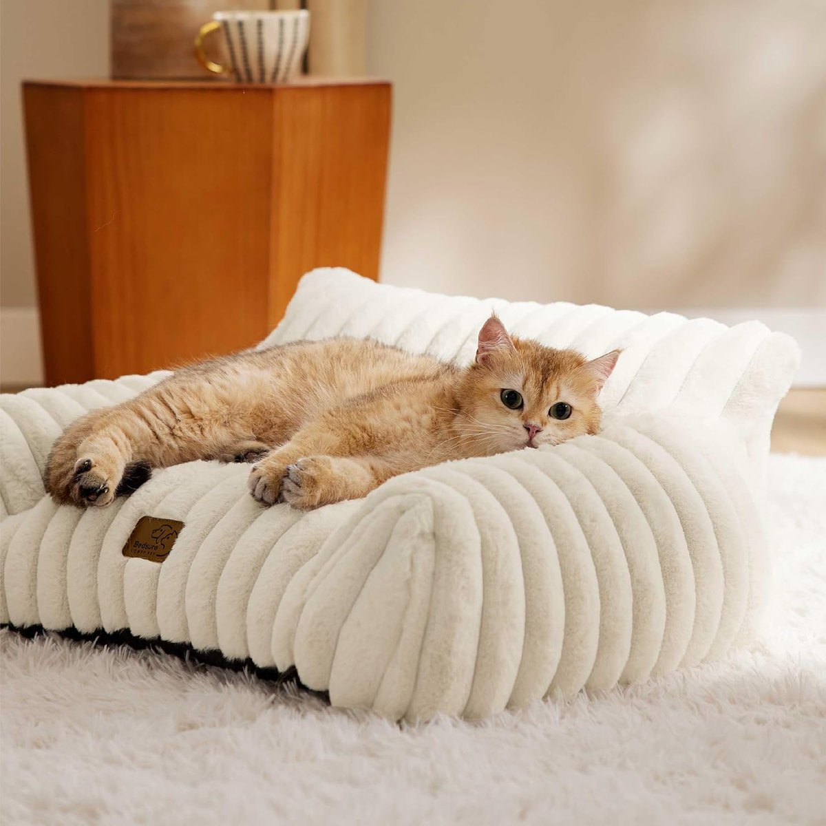 LabibTech2790's tweet image. Bedsure Cute Couch for Pets
Visit Now Amazon=amzn.to/44GYBGs
Does your pet get anxious? The Hoewina calming donut bed can help! Perfect for indoor cats, puppies, and small dog breeds. The raised edges provide a sense of security, helping to reduce anxiety and promote