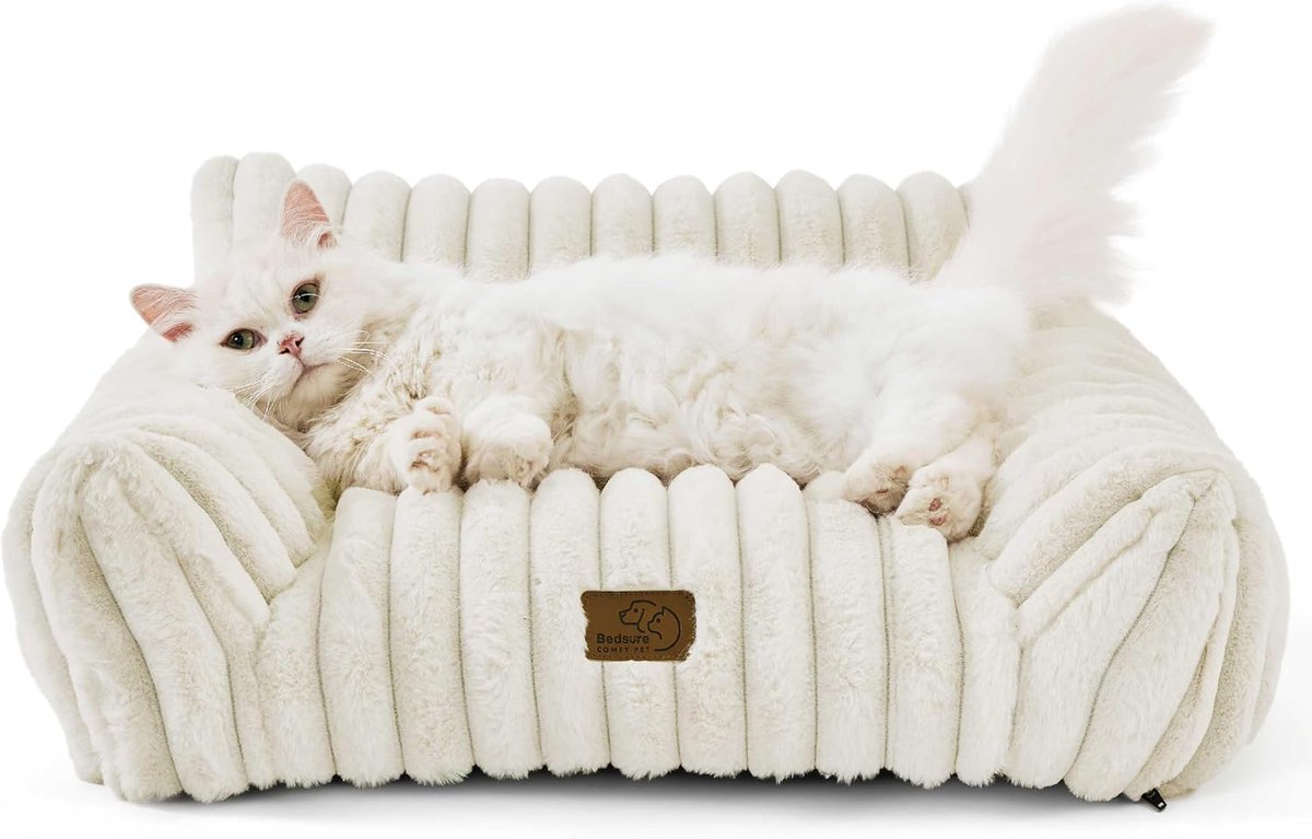 LabibTech2790's tweet image. Bedsure Cute Couch for Pets
Visit Now Amazon=amzn.to/44GYBGs
Does your pet get anxious? The Hoewina calming donut bed can help! Perfect for indoor cats, puppies, and small dog breeds. The raised edges provide a sense of security, helping to reduce anxiety and promote
