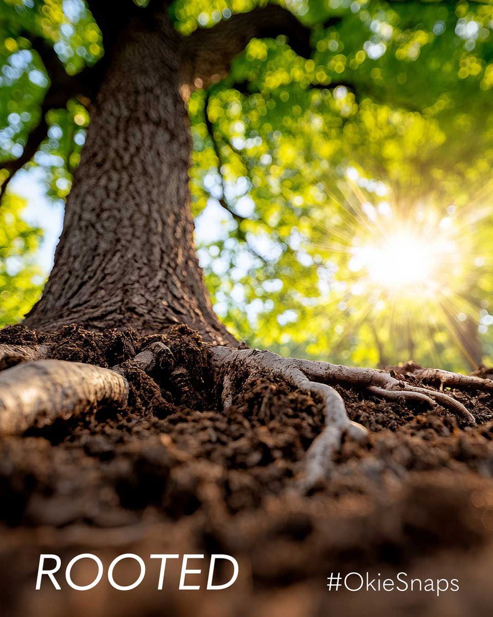 Roots run deep in Oklahoma! Send us you best photos of all things rooted in our state. Submit your best by May 10 for your chance at being our Reader’s Favorite! bit.ly/OKL-okie-snaps…