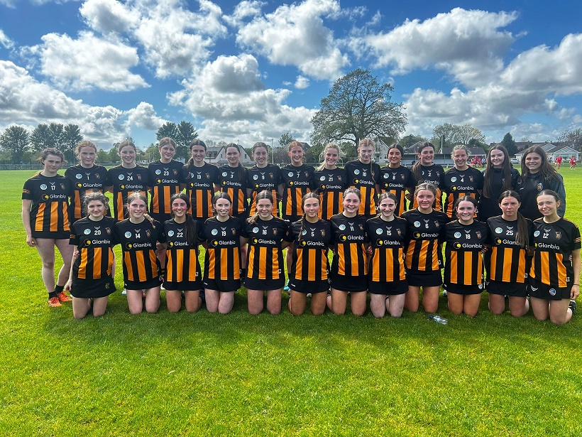 Kilkenny Camogie tweet media