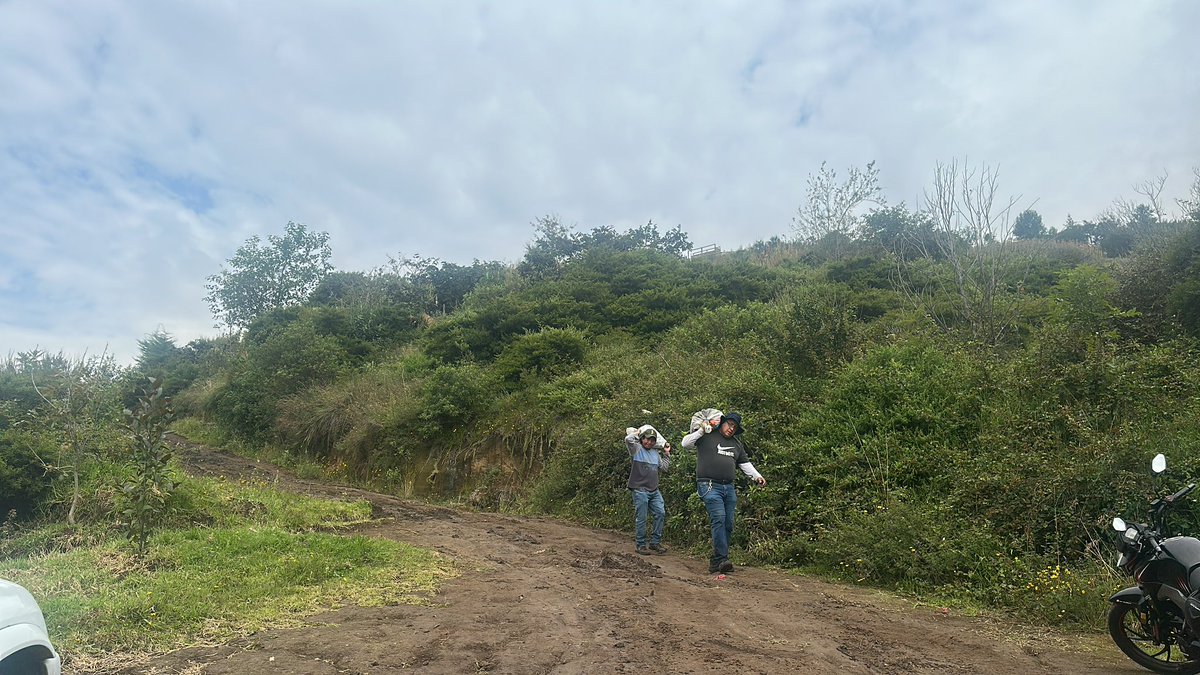 BitacoraEc's tweet photo. La reforestación en el #Ilalo organizada por @ahkecuador empezó
En la comuna Angamarca unas 200 personas empezaron la minga con una ceremonia andina. https://t.co/vFqMSF2mia