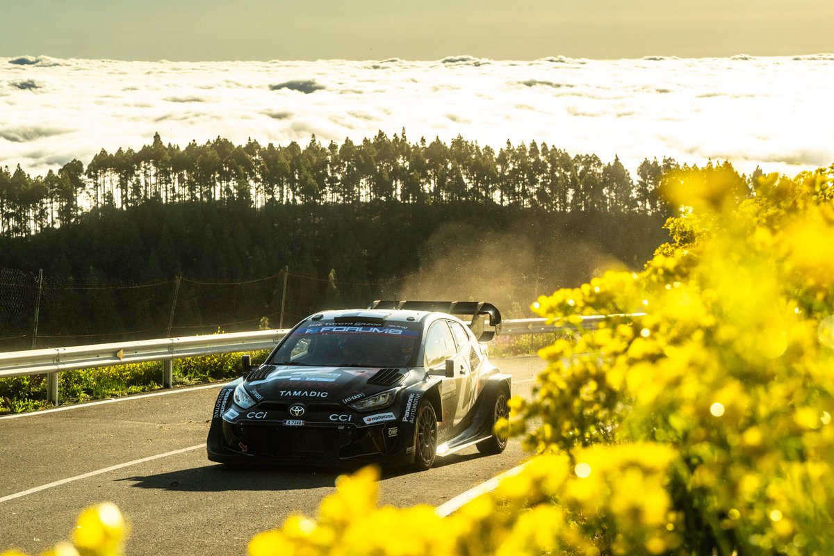 SplitTimeRally's tweet photo. 🚨 SS10 is LIVE!
Moya – Gáldar 2 (24,09 km) is underway!
#WRC #RallyIslasCanarias #RallySpain #WRCLive #FIAWRC #GranCanaria #TarmacRally #StageLive #ToyotaGazooRacing #HyundaiMotorsport #MSport #CitroenRacing #Rally1 #Rally2 #WRC2025 https://t.co/wHil3OmXcT