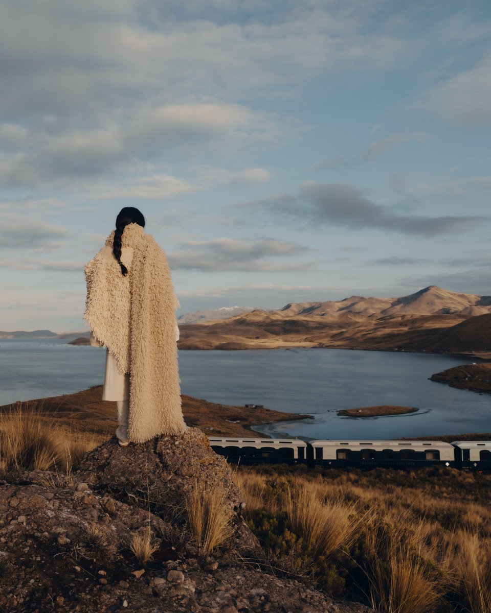 belmond's tweet image. Traveling from Cusco to Lake Titicaca and Arequipa, the Andean Explorer weaves through the Andes. On the observation deck, take in the shifting landscapes and vibrant colours of valleys, plains and peaks as the train climbs.

Discover More: bit.ly/3RzjE6d