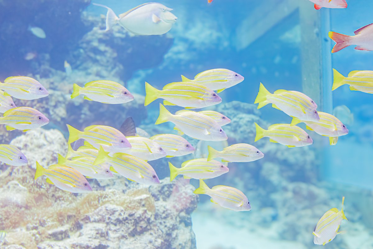 沖縄旅行にて🌴