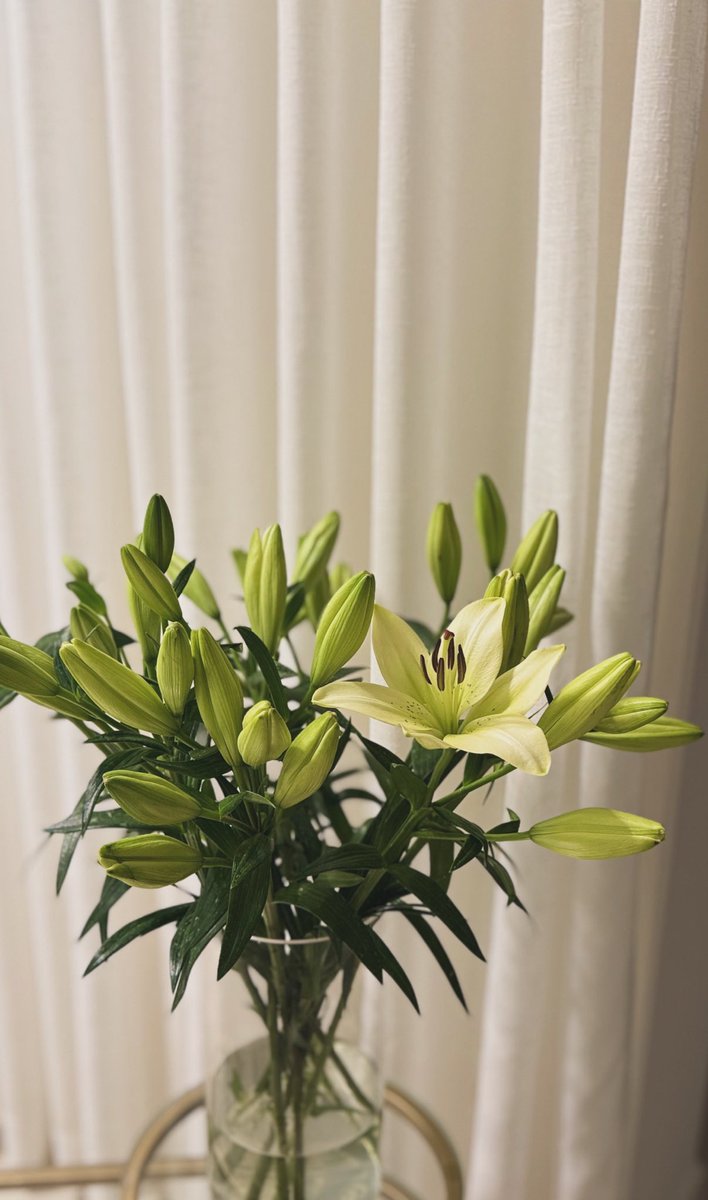 ilrly1's tweet photo. Can’t wait for it to bloom !! https://t.co/ekeqi7DaJL