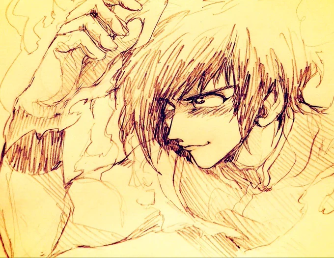 私の描いてたアラシヤマこんなでしたね 