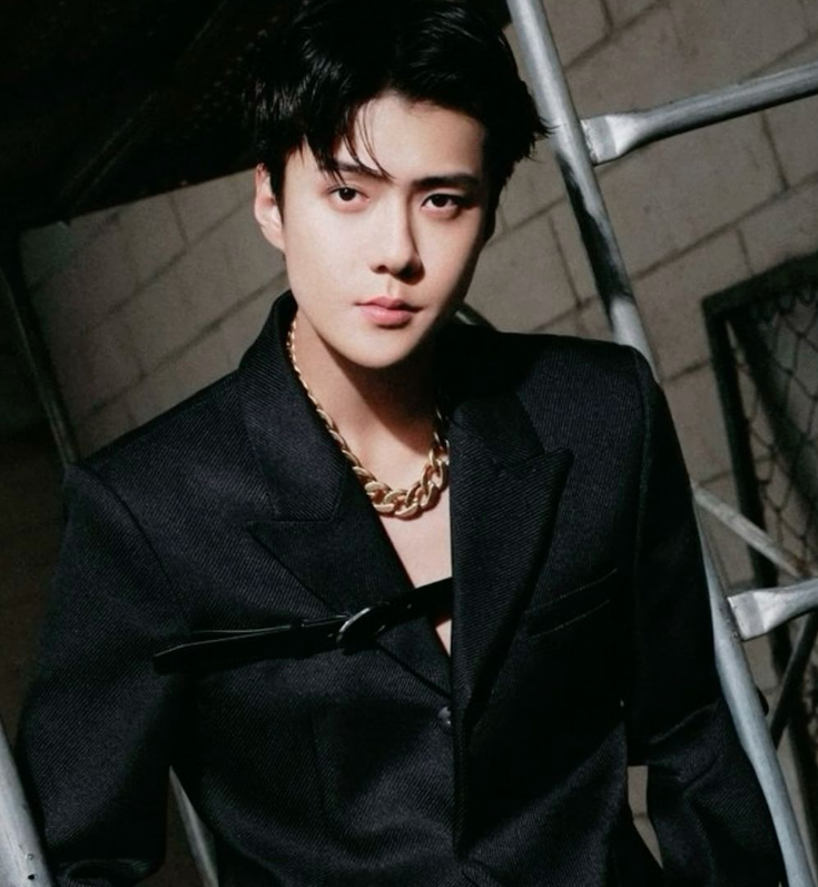 AboutMusicYT's tweet photo. EXO's Sehun will be discharged from the military in 4 months. https://t.co/VVo6X7QLU2