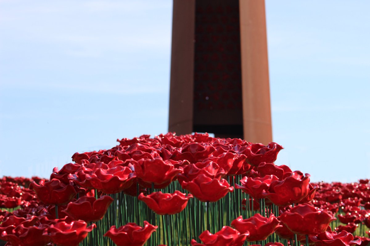 The Lancaster Poppy Display is now open &amp; will be in place until the end of August.  

1000s of handcrafted ceramic poppies featuring a Lancaster in clouds make a stunning display - #free to visit.

Find out more here shorturl.at/bg9j7

#VEDay80 #OpPoppy #BecauseWeRemember