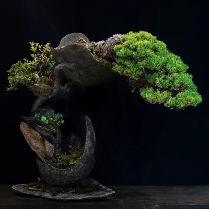 SOTA SUZUKI tweet media