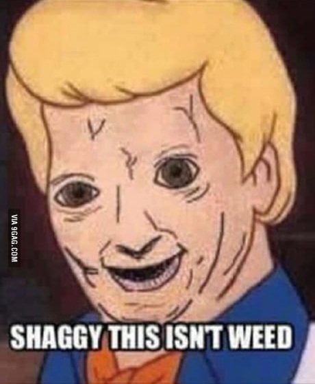 ✡️magneto pig ✡️ tweet media