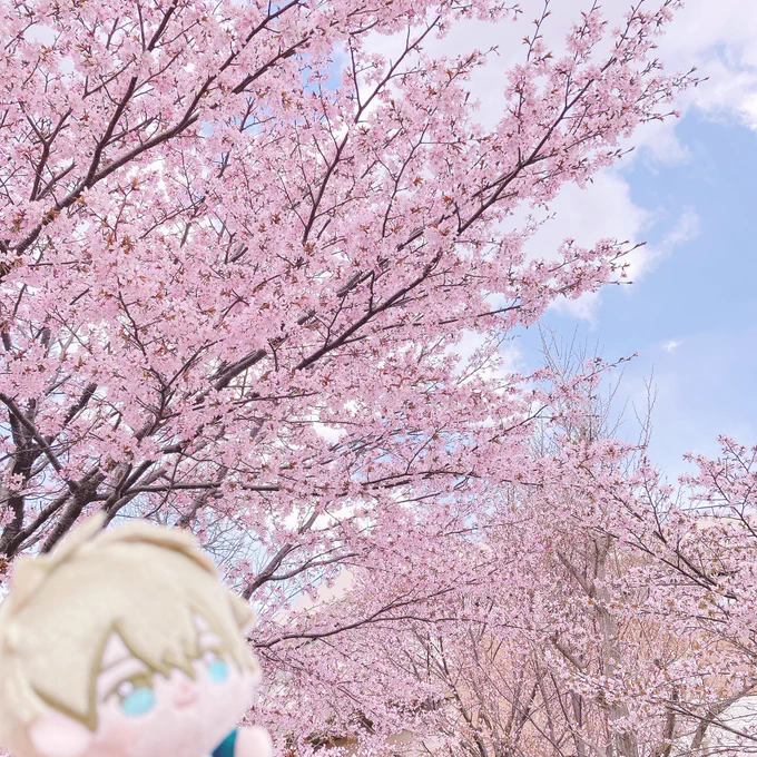 春来たり かわいいてゅばにゃとお仕事してきました 初グー 制服チャレは敗退 