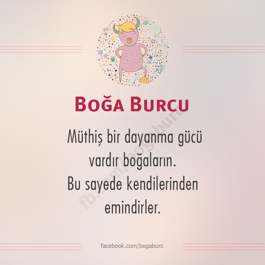 Boğa Burcu (@bogaburc) on Twitter photo 