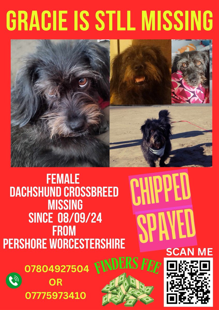 The Rescue Dog Who Saved a Bloke’s Life – And Now Needs Our Help loadedworld.com/blogs/technolo…
#findgracie #pershore #Worcestershire