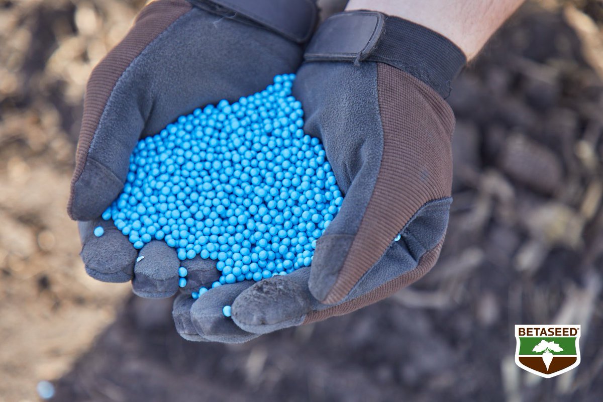 It's #InternationalSeedsDay! 🌱💙

Join us in celebrating the impact of seeds today and all year long. Together let's plant for a brighter future. #Betaseed, breeding confidence.