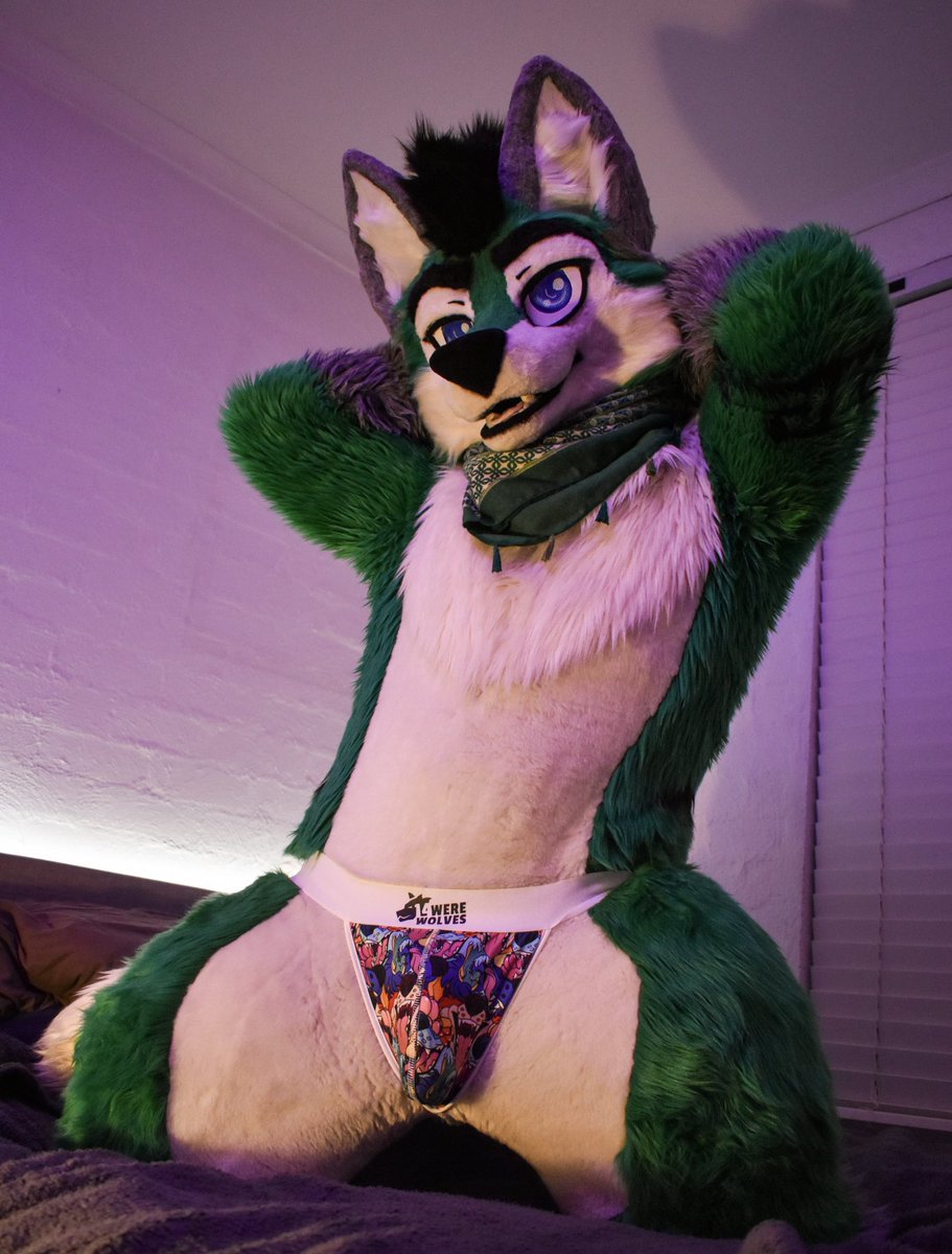 Who’s a good boy??? Yeah, you are!~ 💜

📸 - <a href="/algos_puma/">algos // brunswick</a>