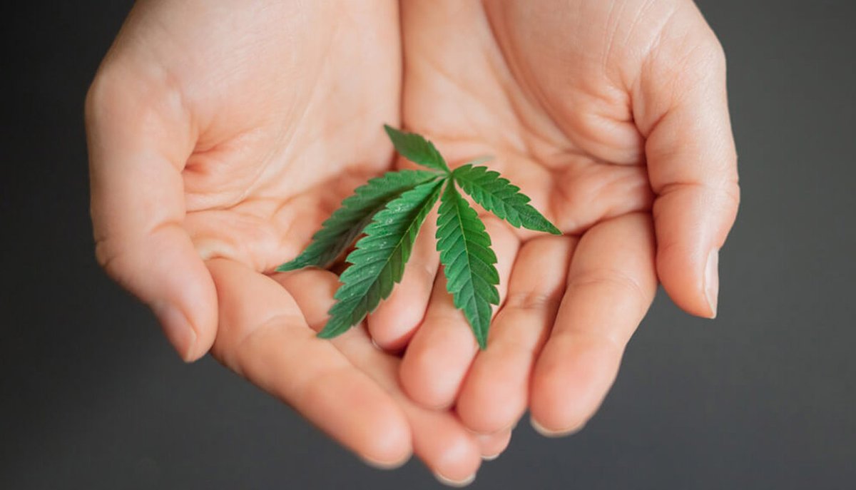 Marijuana Components Show ‘Promising Potential As Anticancer Agents’, Study Finds

A new scientific review on cannabis and cancer concludes that a variety of cannabinoids—including delta-9 THC, CBD and cannabigerol (CBG)—”show promising...

cannabisculture.com/content/2024/1…