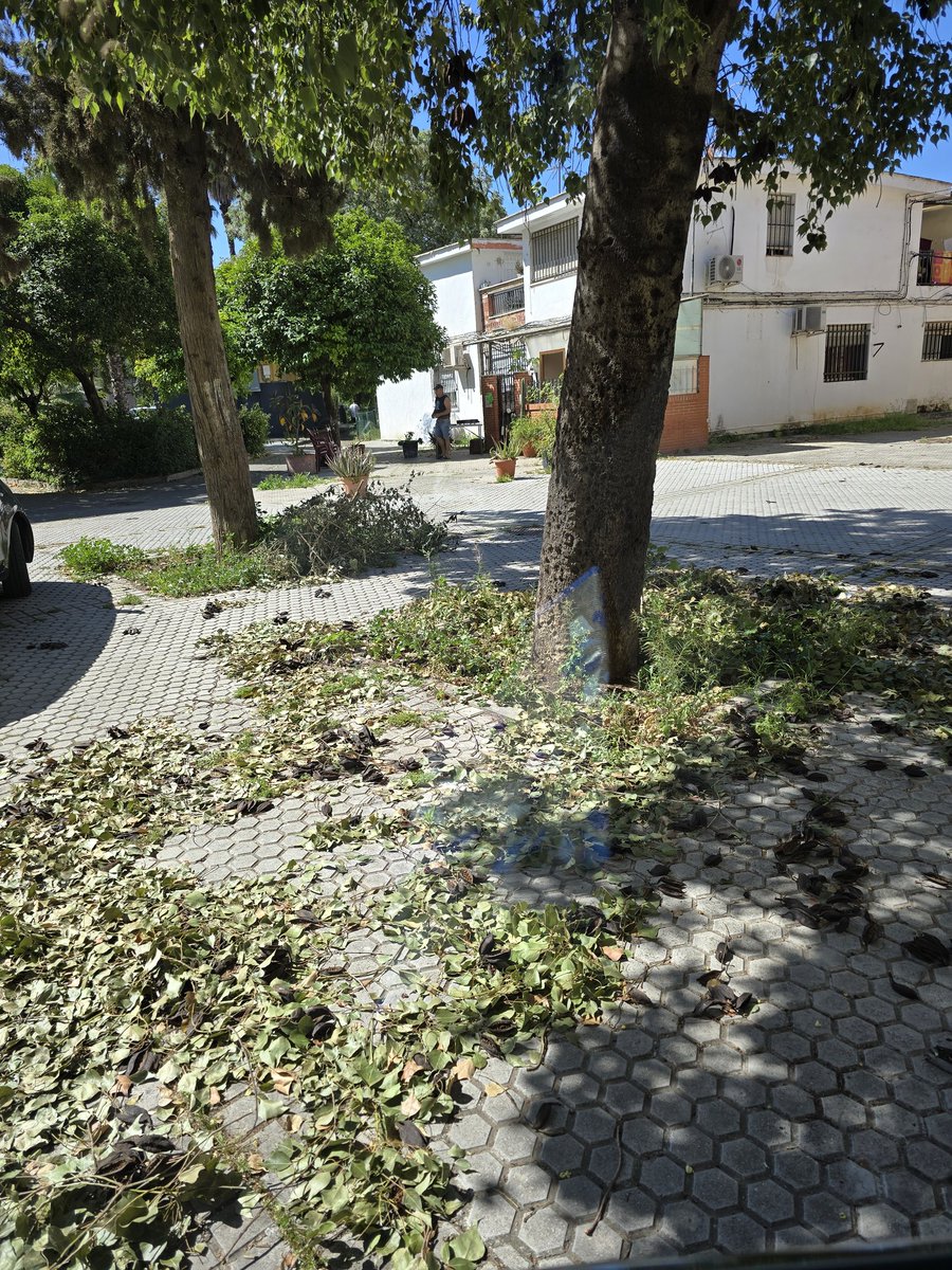 Daniel Gómez-Cabello tweet media