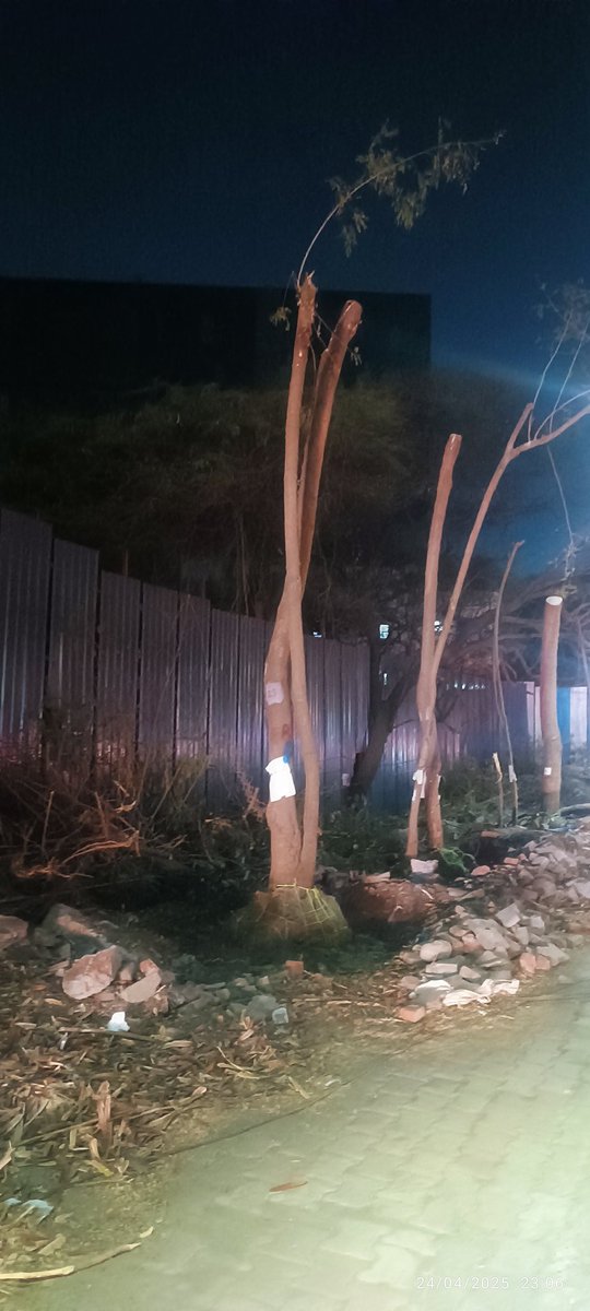 Each1Save2 tweet media