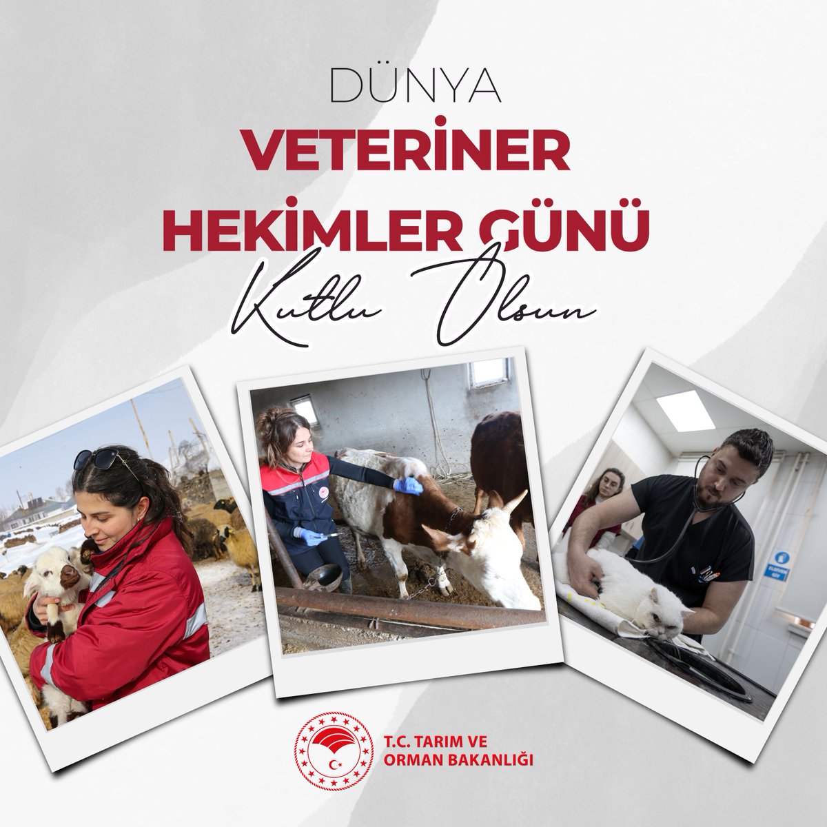 👨‍⚕👩‍⚕Hayvan sağlığı için gece gündüz demeden fedakârca emek veren tüm veteriner hekimlerimizin “Dünya Veteriner Hekimler Günü” kutlu olsun.