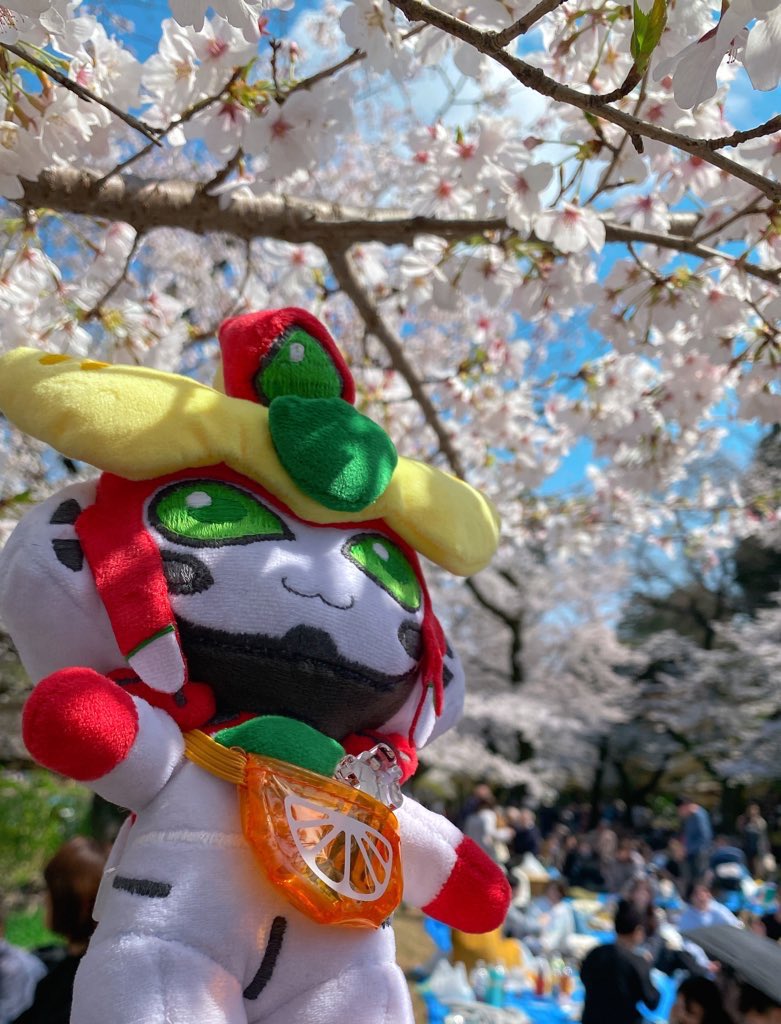 ゆずぽん。 (@yuzupon_DP) / Posts / X