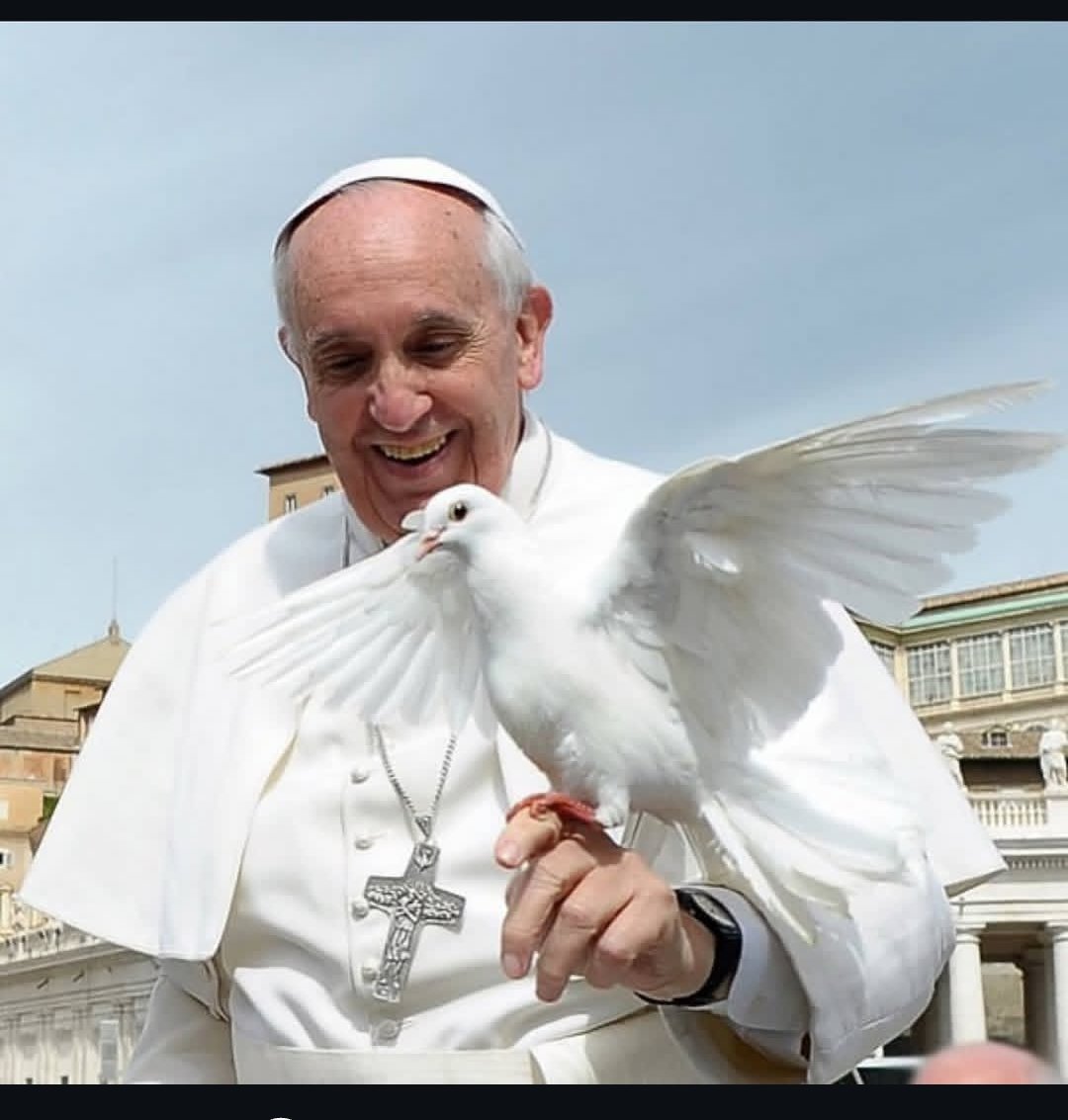 salomenduta5's tweet photo. May the Heavens receive your soul today, thank you Holy Father. 😘😘😘 https://t.co/pL858EtiY7