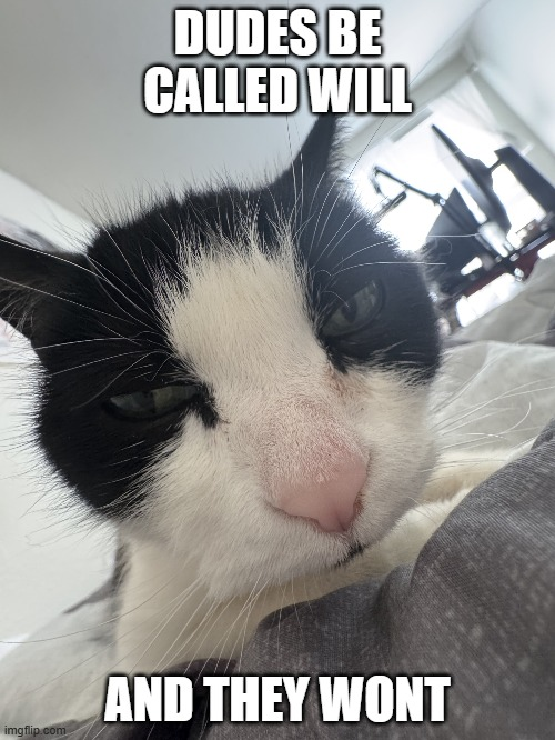 Nloading211's tweet image. 🤨