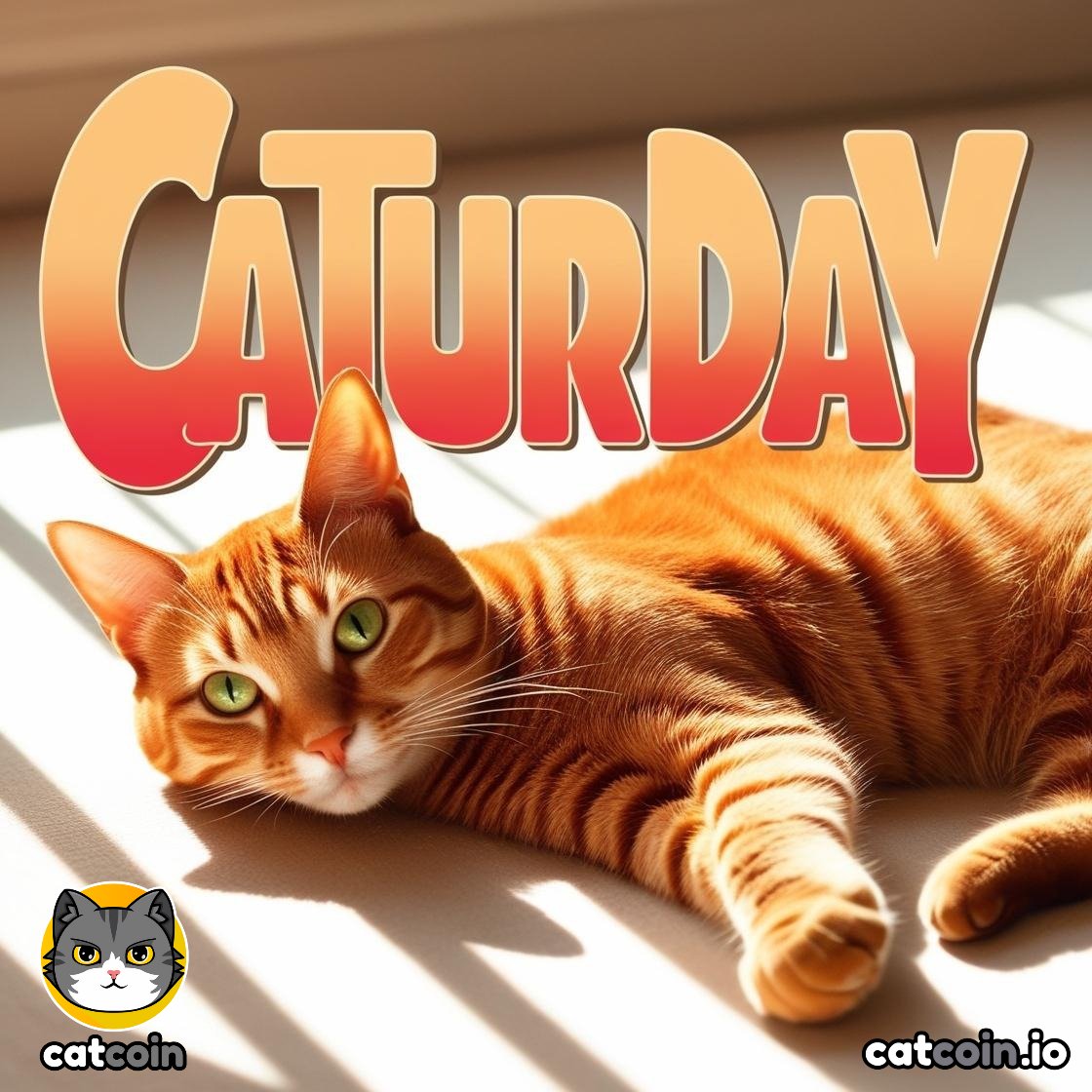 Official Catcoin tweet media
