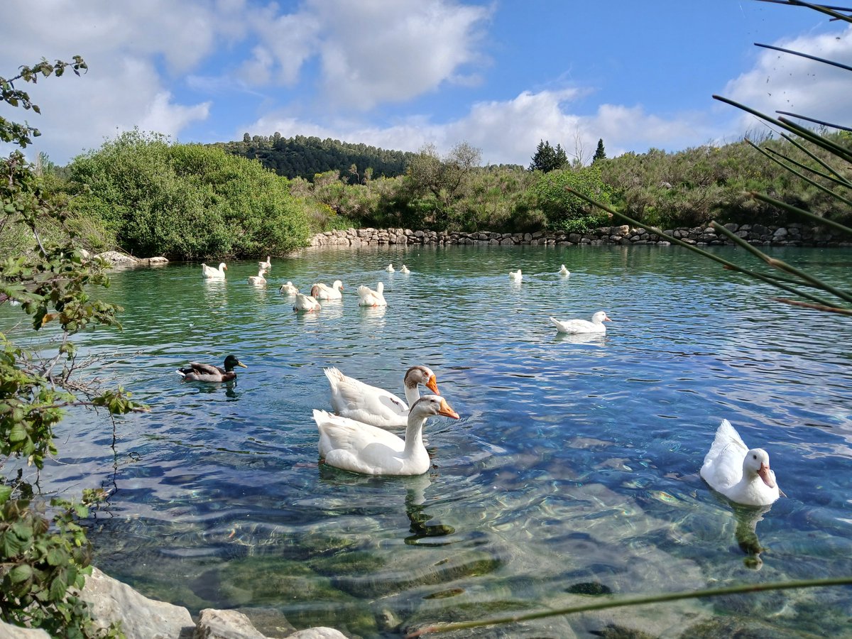 Mari Cortés tweet media