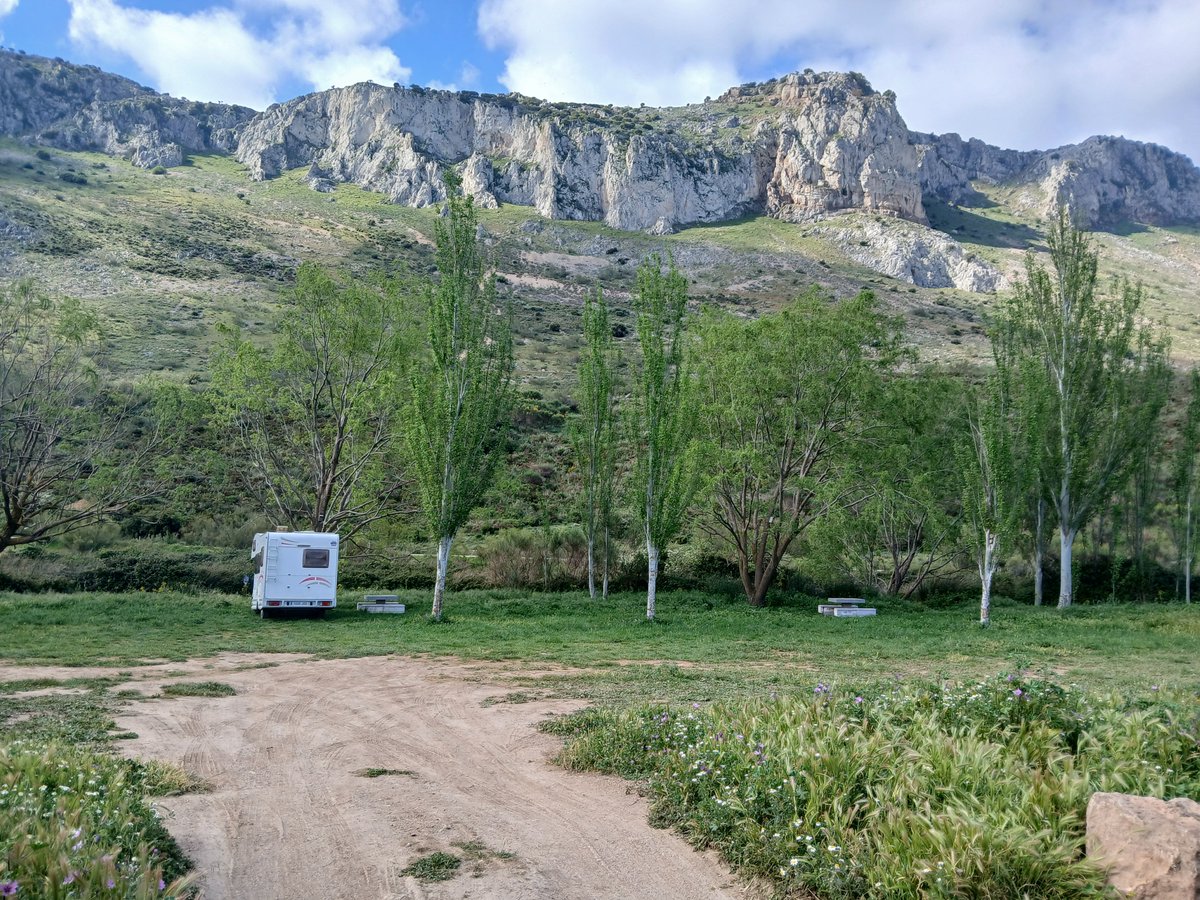 Mari Cortés tweet media