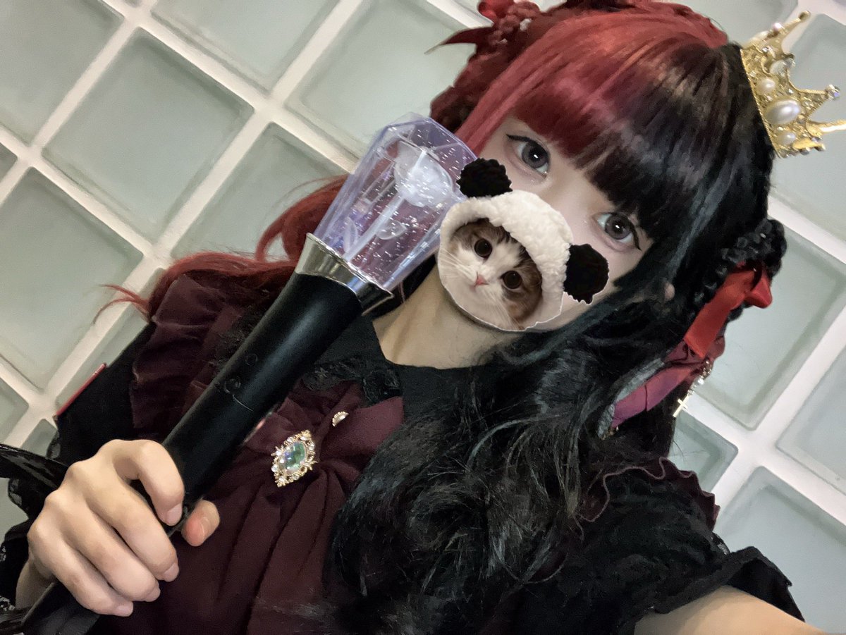 ネモフィラ🌈💫 (@Nemophila2929) / Posts / X