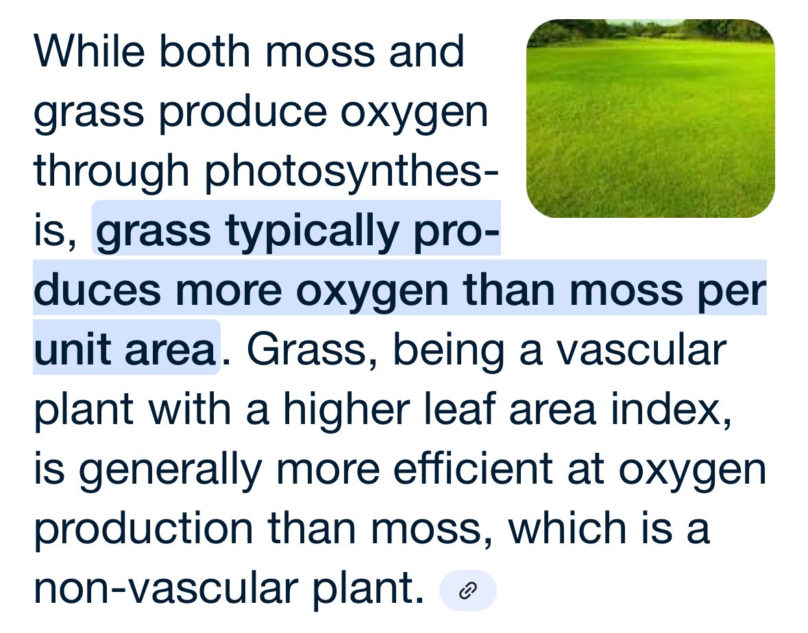 Question: What produces more oxygen - moss or grass?

Answer: Grass

Conclusion: Look after grass, and grass will look after you.

and, trees. We love lawns🌱, &amp; trees🌳🥰