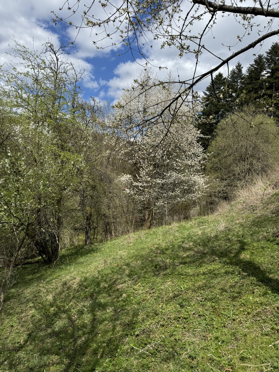 gm

Go touch some grass!!!