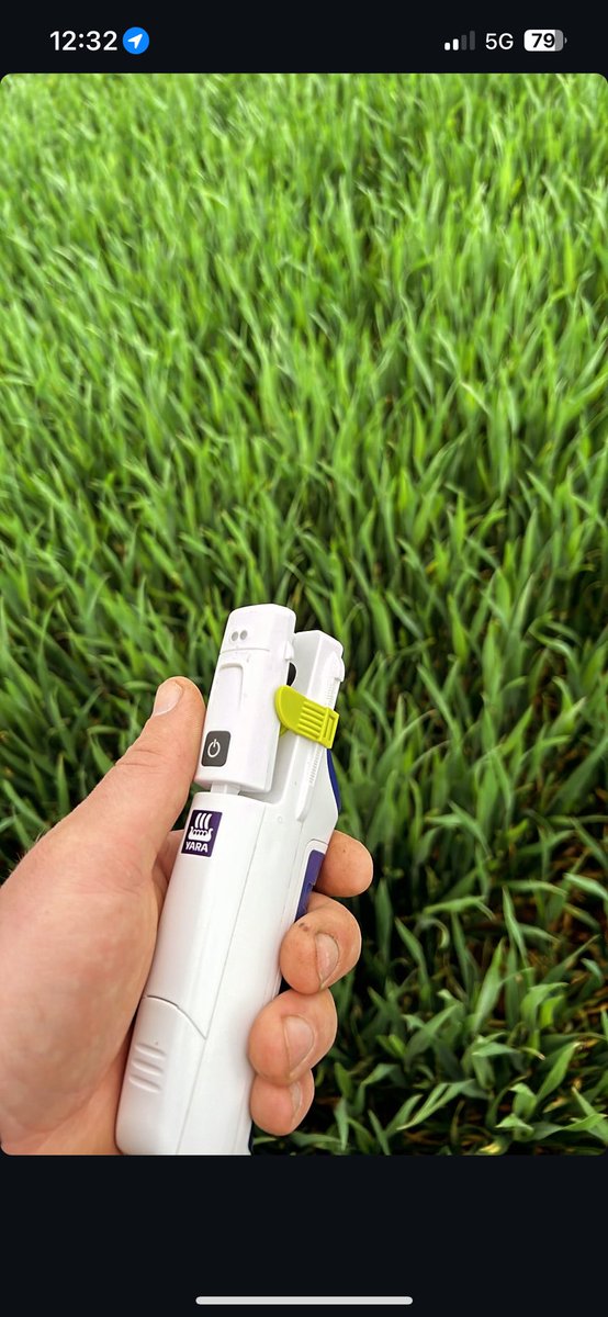 Les #opa vont épier, c’est aussi le moment de calculer le solde pour les blés 🌾 Les parcelles sont hétérogènes mais prometteuses