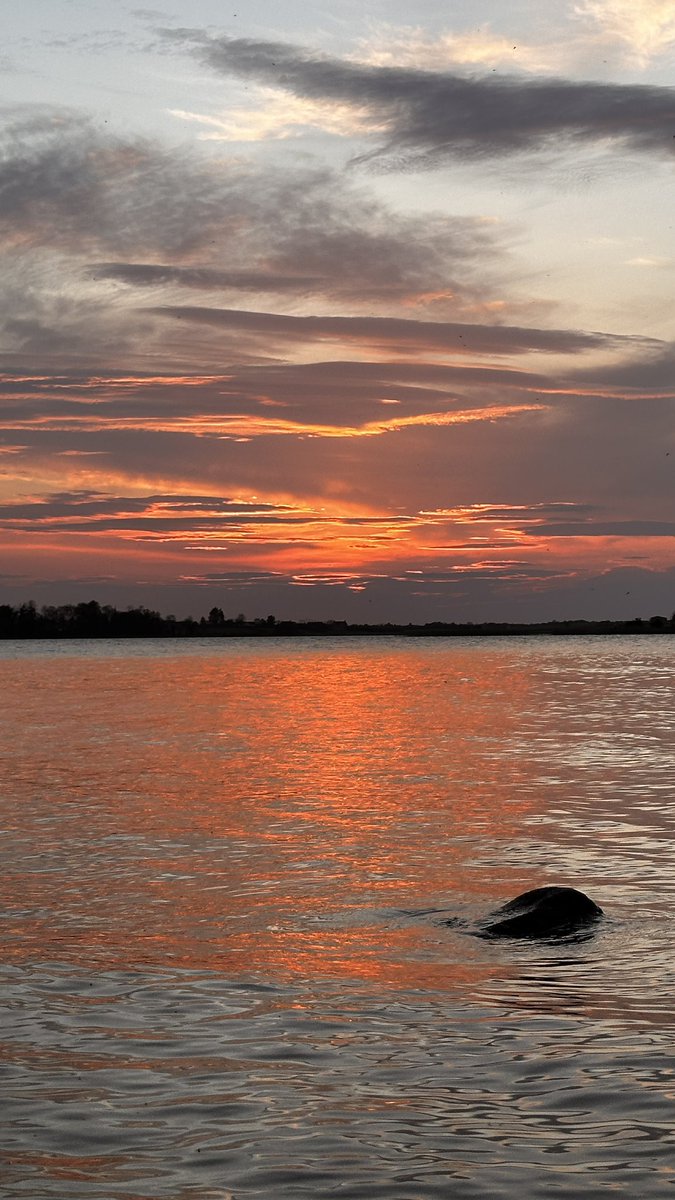 Sharon Welby📷 tweet media