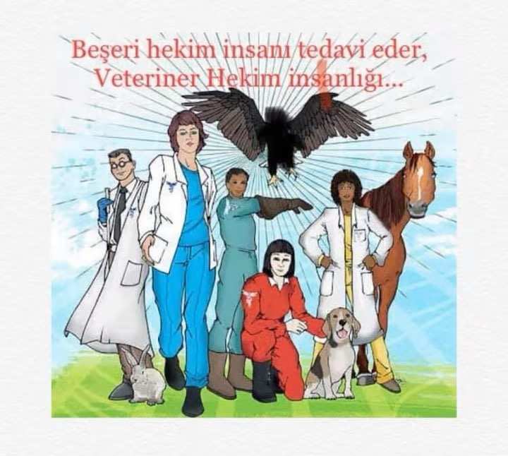 Teması “HAYVAN SAĞLIĞI EKİP İŞİDİR" olarak belirlenen Dünya Veteriner Hekimleri günününde;  Ülkemiz Hayvancılığı için işbirliği ve özveri ile çalışan tüm Veteriner Hekim meslektaşlarımın Günü kutlu olsun. 💐💊💉🩺