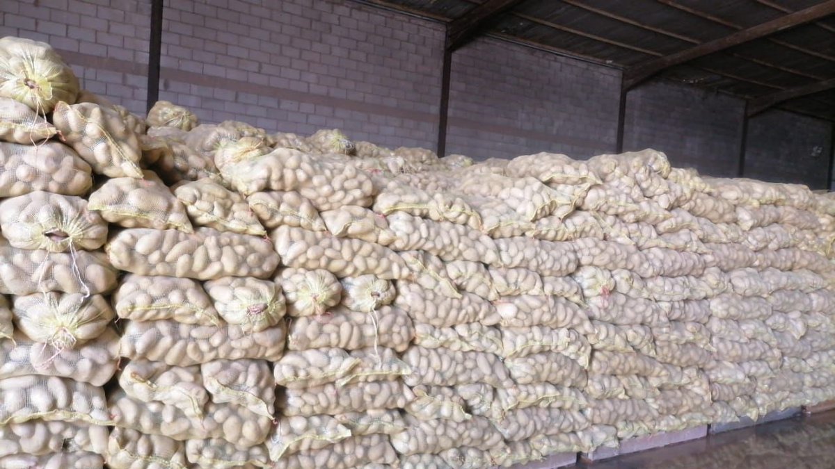 Nabt_app's tweet image. بطاطس Zorba التصنيعي متوفر الآن عبر #مزاد_نبت!
مزروع في وادي الدواسر، بطول أكثر من 9 سم، وبصلابة عالية، مثالي لتحضير فرينش فرايز بجودة عالية 🍟

الكمية المعروضة: 900 طن ✅
فرصة للي يدور بطاطس موثوق ومن إنتاج محلي.

لا تفوت الفرصة، تابع المزاد وساوم بكل سهولة من جوالك 🚀