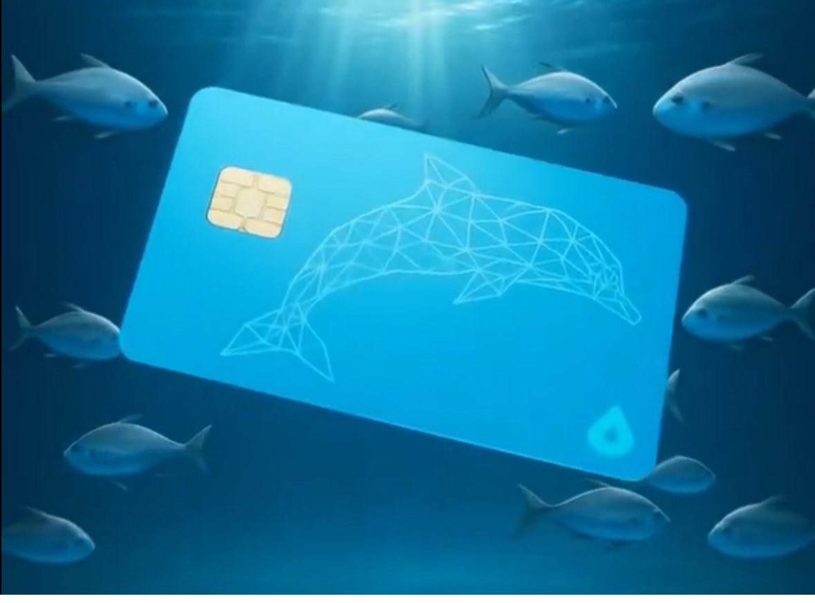 Aqua Wallet launches Dolphin Card: VISA to spend BTC, L-BTC, and USDT  without KYC @AquaBitcoin Wallet will launch the Dolphin Card, a VISA card  that will allow users to spend Bitcoin (BTC),