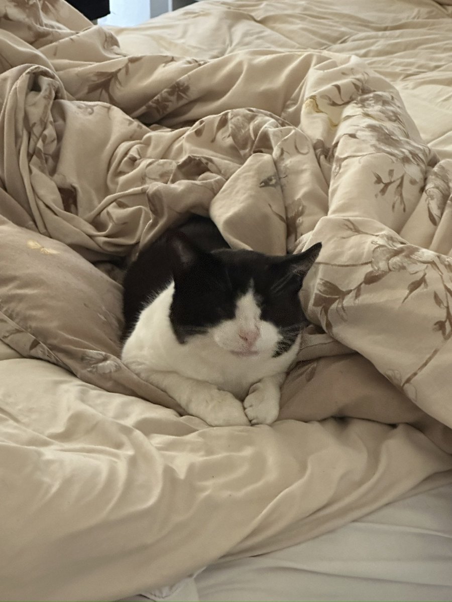 Freddie Wilson Tooten\, image size:900x1200