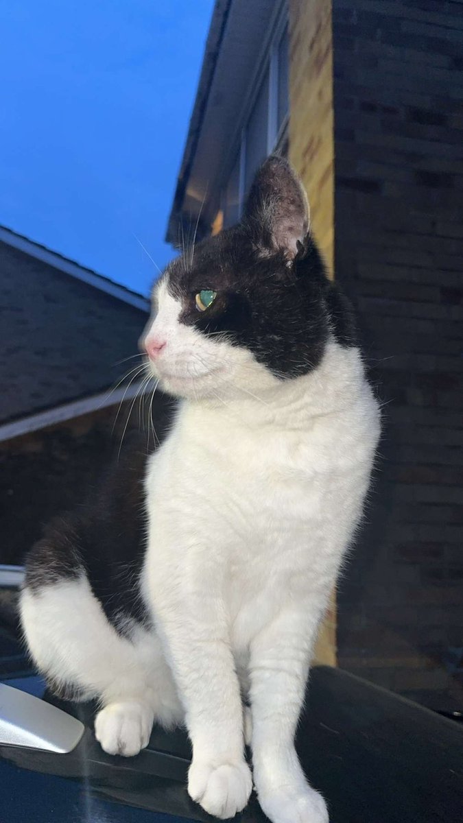 Who is Gordon? I know the label is stepdad but like Sally's second husband?  Not rupels dad?, image size:675x1200