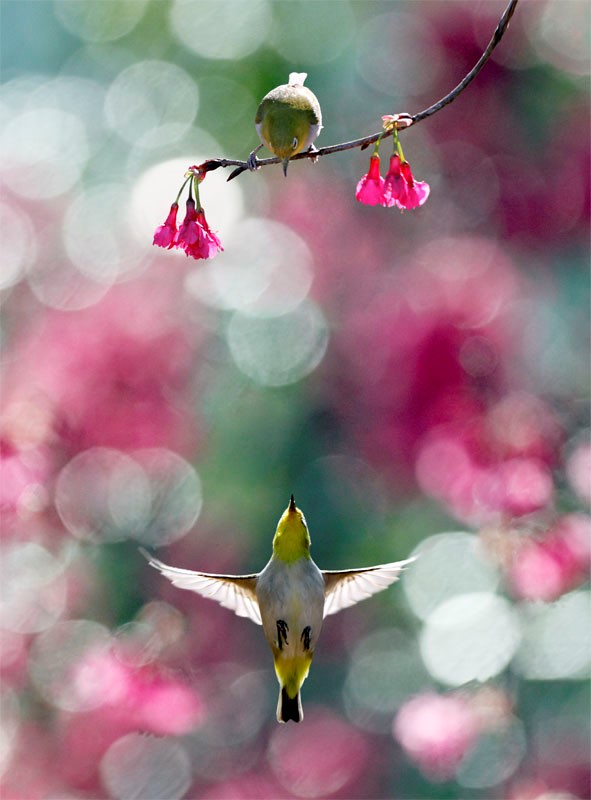 . 

“I believe in the kindness of others, 
and that I must love them without fear.”

― Pope Francis

🩷

John&amp;Fish photography