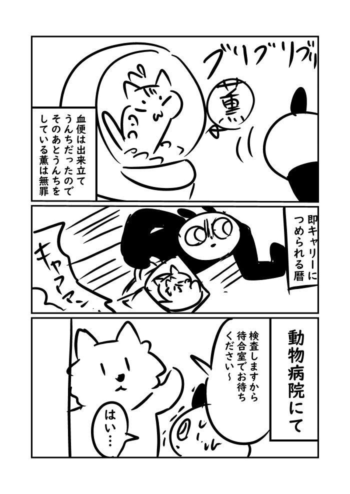 痔になってケツが火山になった時の話 5/11 