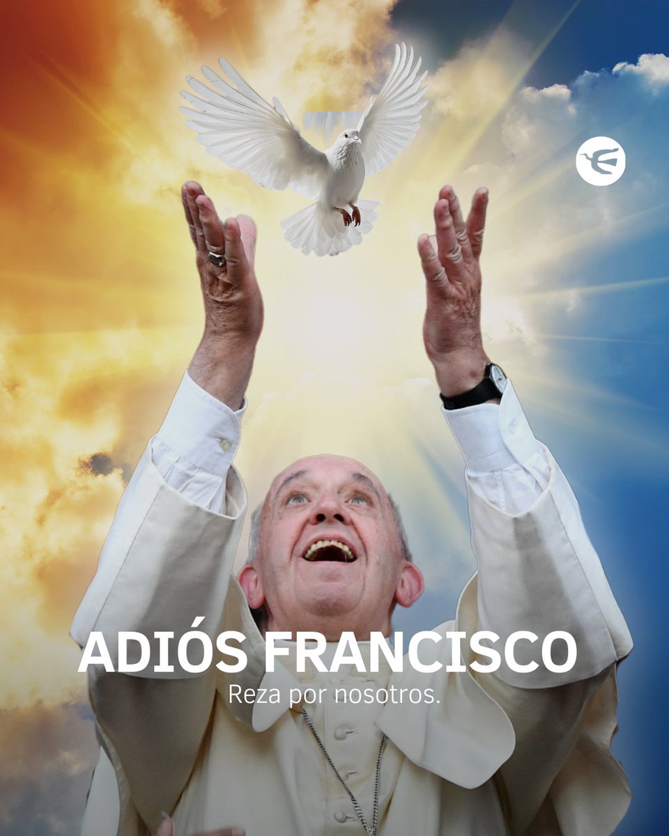perfilcom's tweet photo. ✝️ El Papa argentino descansa en paz 🕊 https://t.co/HljGbb2tdN