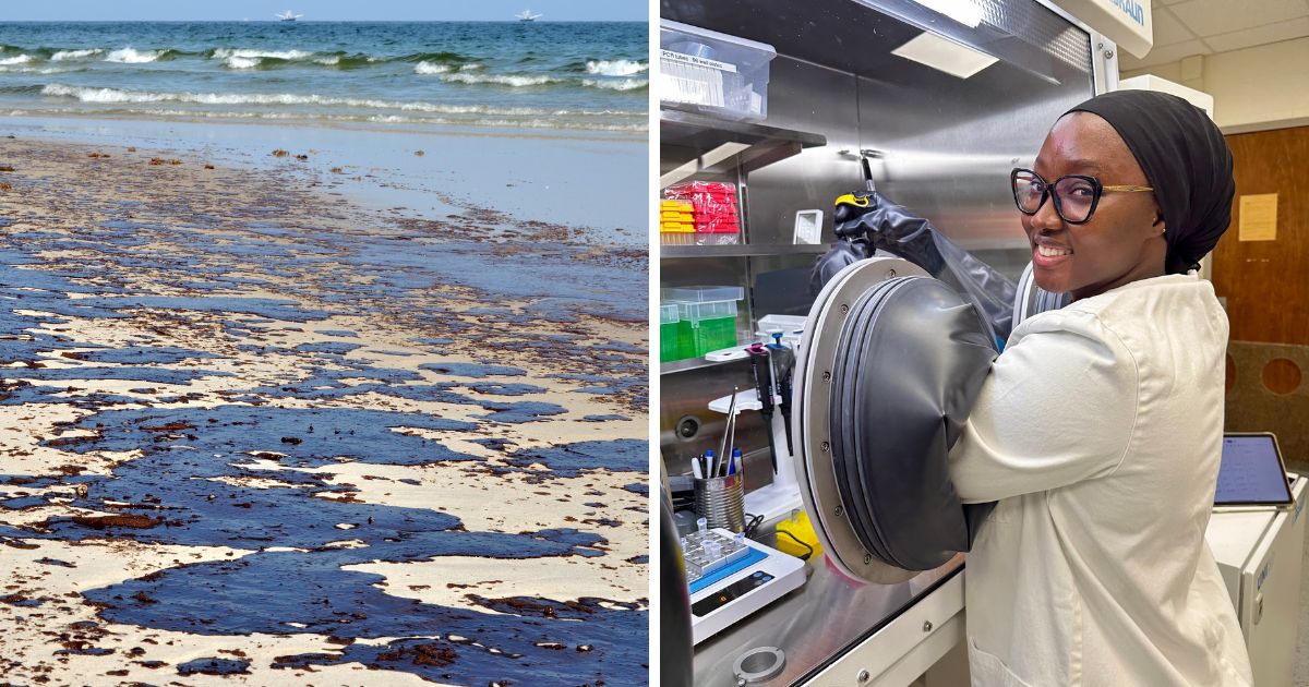ICYMI: At #ASBMB25, Shukurah Anas of Michigan State University present their research on microbes that break down crude oil. For more info check out this article: ow.ly/55rX50VwHvN.
#microbiology #environment #oilspill #bacteria