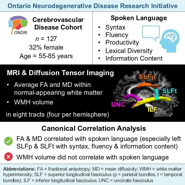 @BrainComms (@braincomms) on Twitter photo Broberg et al. found that spoken language reflects white matter microstructure—not lesion volume—in cerebrovascular disease, highlighting diffusion MRI's role in cognitive assessment. Read at buff.ly/uxBuMwo <a href="/Rob_Bartha/">Robert Bartha</a> <a href="/lcanresearch/">Angela Roberts, Ph.D., CASLPO-reg.</a> <a href="/ONDRISTUDY/">The ONDRI Study</a> <a href="/WesternU/">Western University</a> <a href="/SchulichMedDent/">Schulich WesternU</a> Broberg et al. found that spoken language reflects white matter microstructure—not lesion volume—in cerebrovascular disease, highlighting diffusion MRI's role in cognitive assessment. Read at buff.ly/uxBuMwo <a href="/Rob_Bartha/">Robert Bartha</a> <a href="/lcanresearch/">Angela Roberts, Ph.D., CASLPO-reg.</a> <a href="/ONDRISTUDY/">The ONDRI Study</a> <a href="/WesternU/">Western University</a> <a href="/SchulichMedDent/">Schulich WesternU</a>